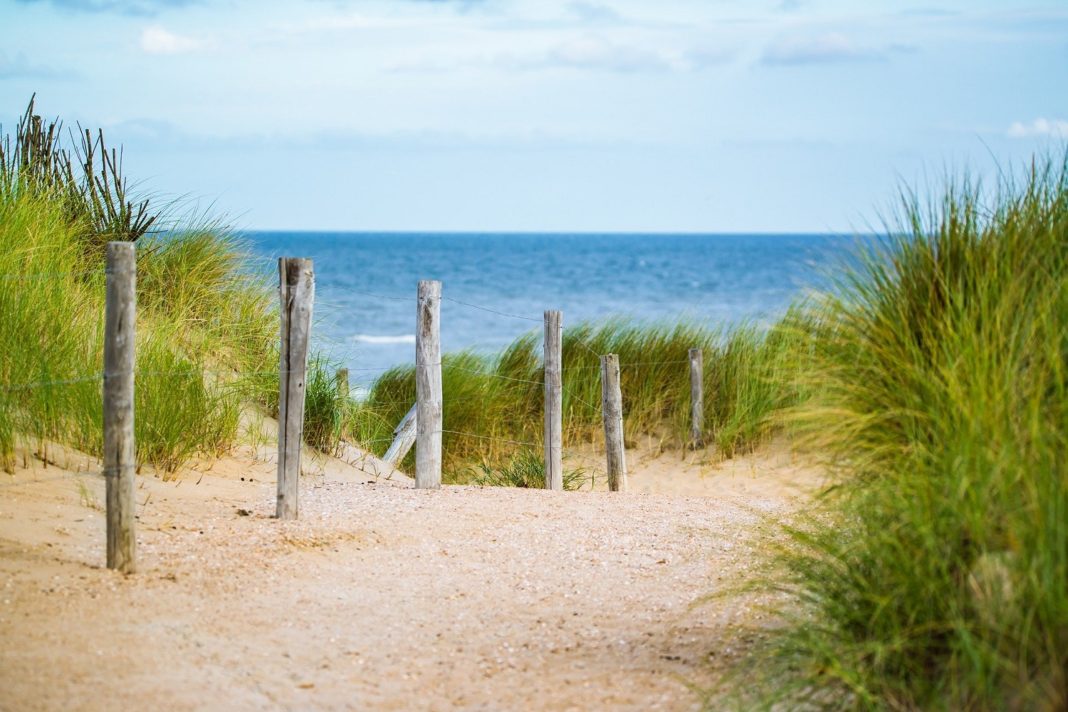 sanddünen-am-meer